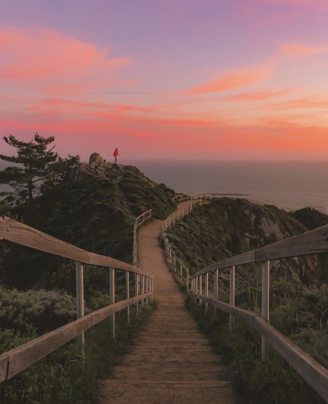 Post 9 by My Home San Francisco on Instagram (image)