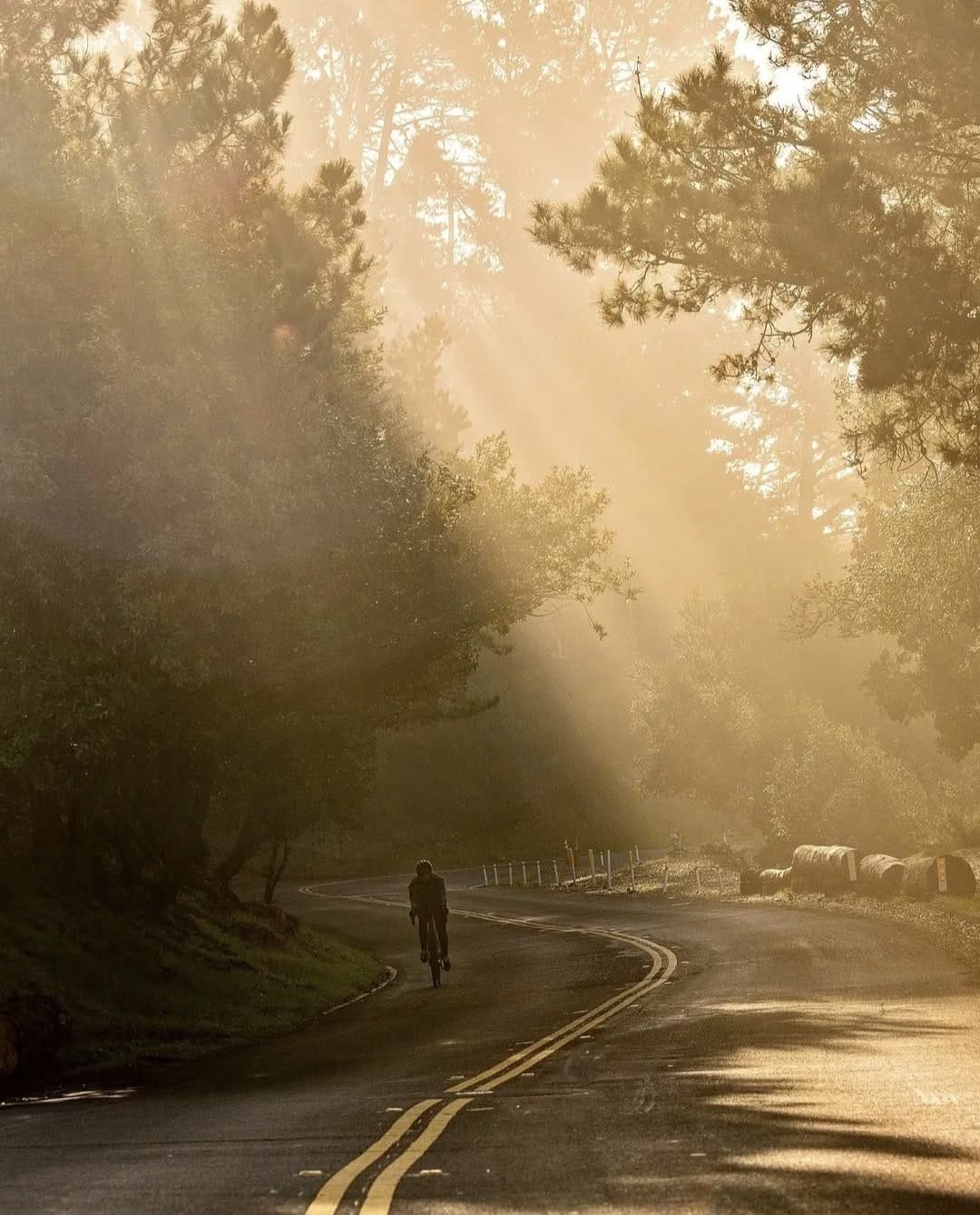 Post 4 by My Home San Francisco on Instagram (image)