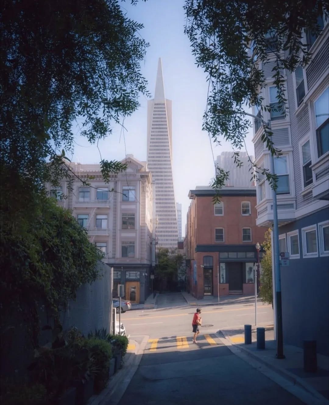 Post 6 by My Home San Francisco on Instagram (image)