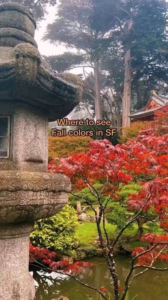 Post 2 by My Home San Francisco on Instagram (video)