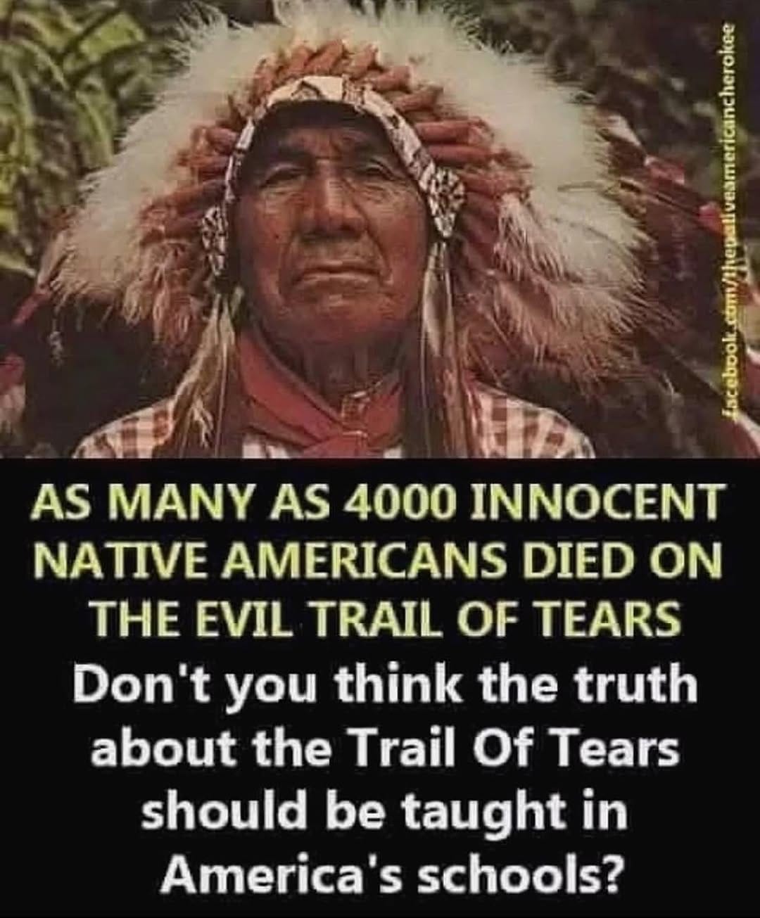 Post 4 by Native American Lifes on Instagram (image)
