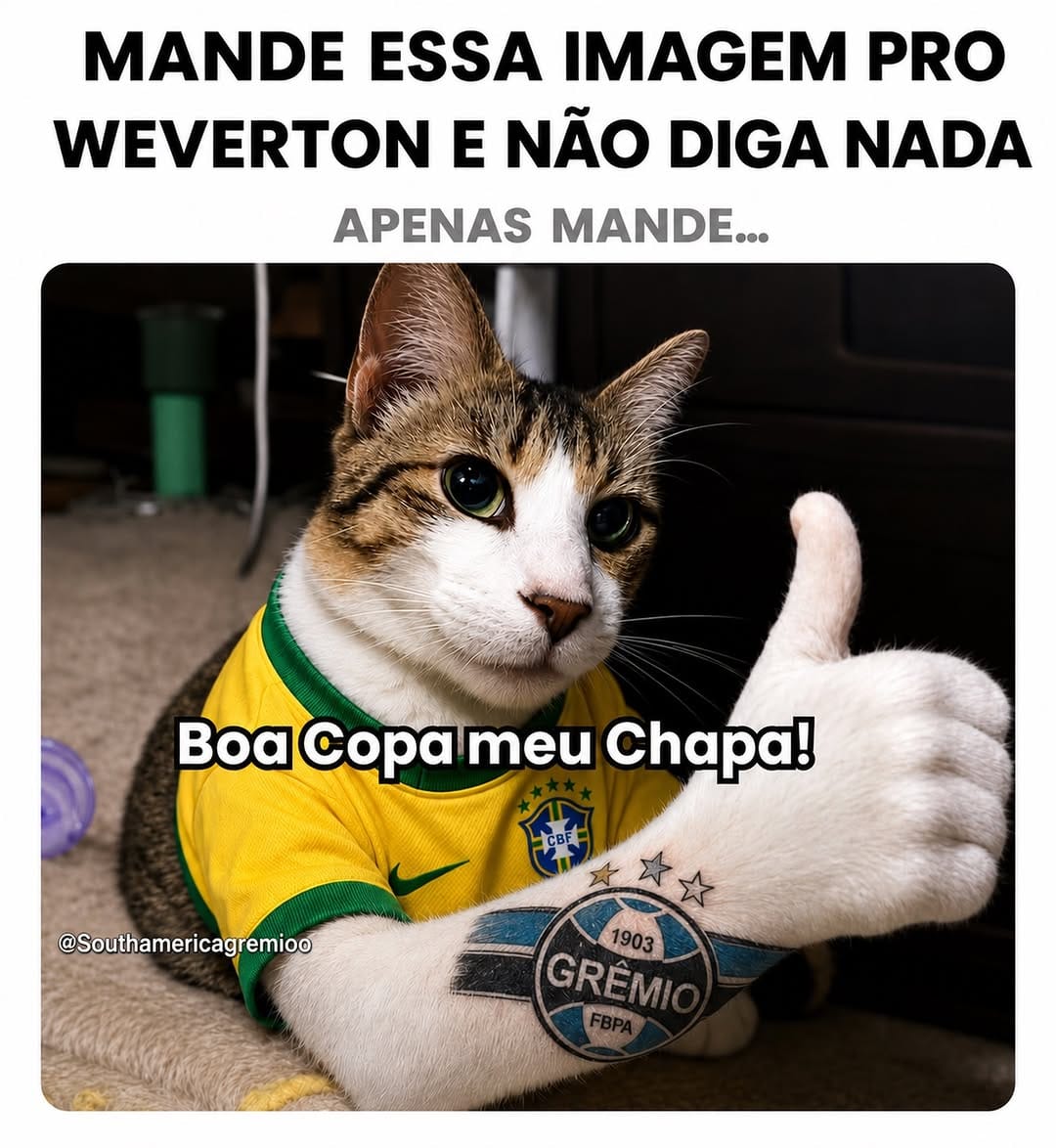 Post 1 by SOUTH AMERICA GREMIO on Instagram (image)