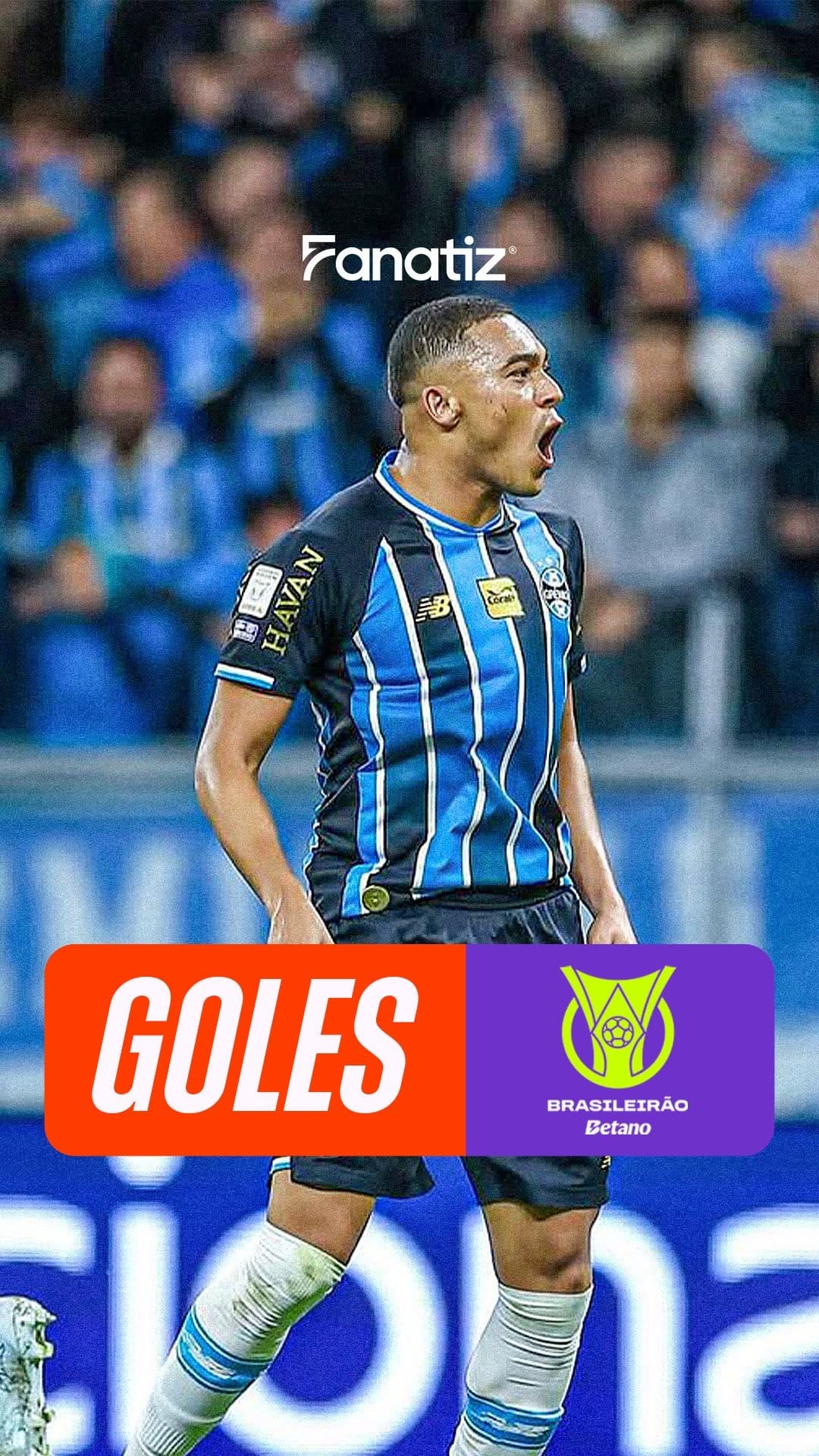 Post 7 by SOUTH AMERICA GREMIO on Instagram (video)