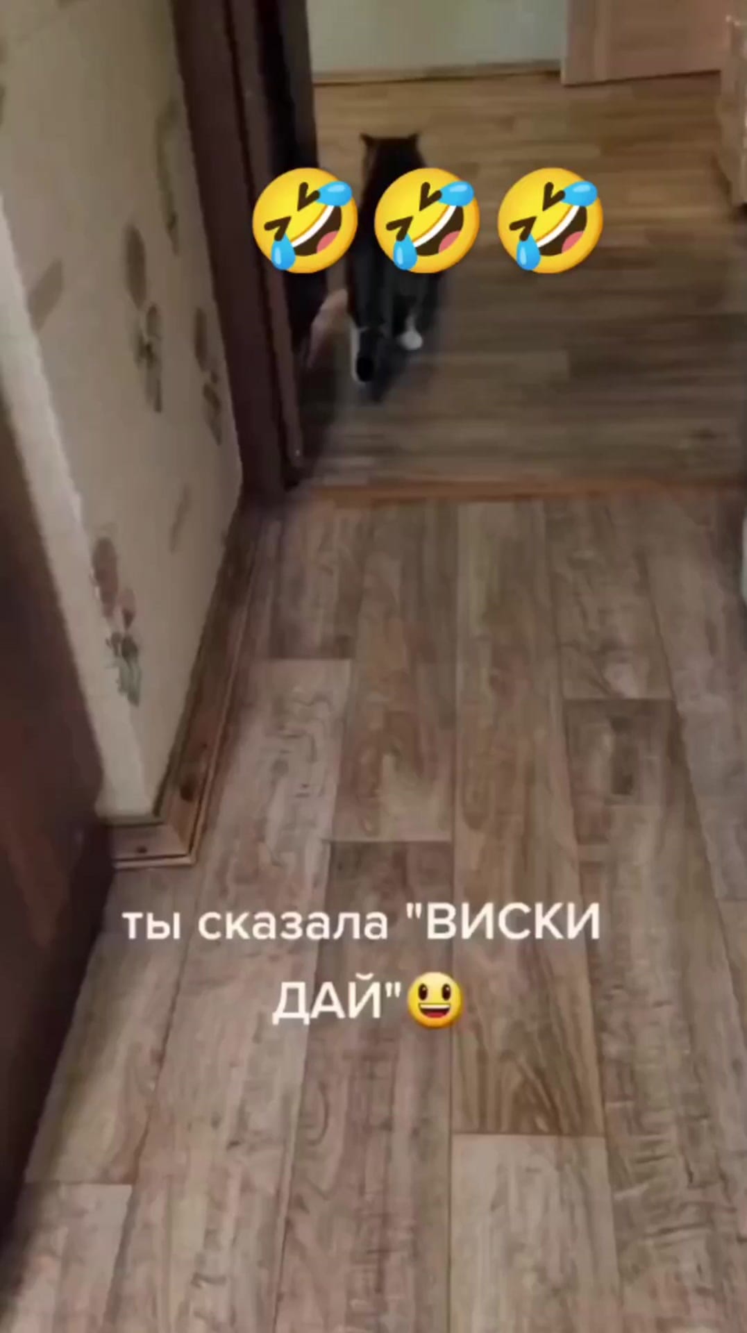 Post 10 by Nitro Acoustic on Instagram (video)