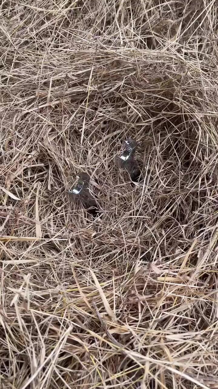 Post 9 by Nitro Acoustic on Instagram (video)