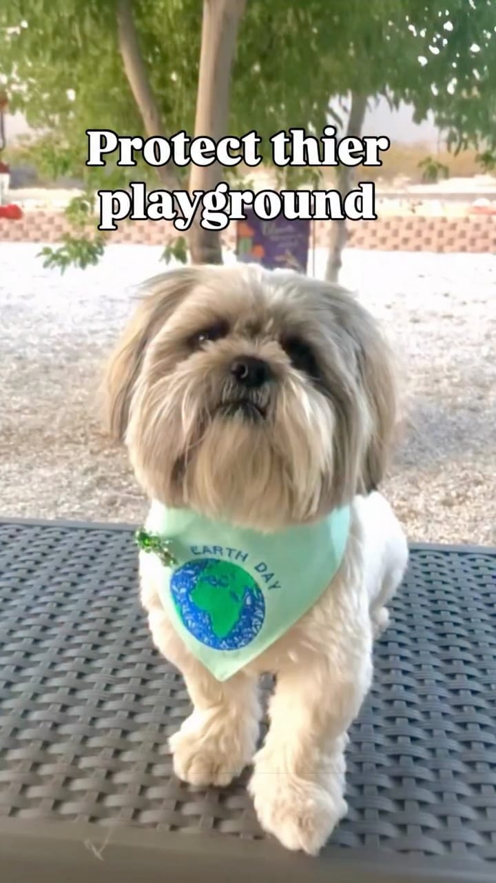 Post 10 by ✭ Dallas ✭ Dak ✭ Whiskey ✭ on Instagram (video)