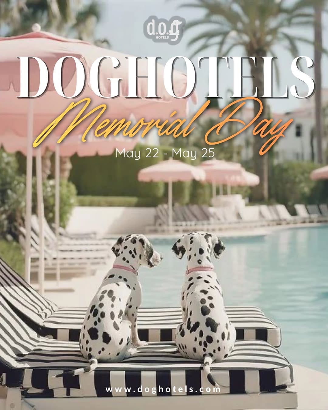Post 2 by DOG Hotels Miami Beach on Instagram (image)
