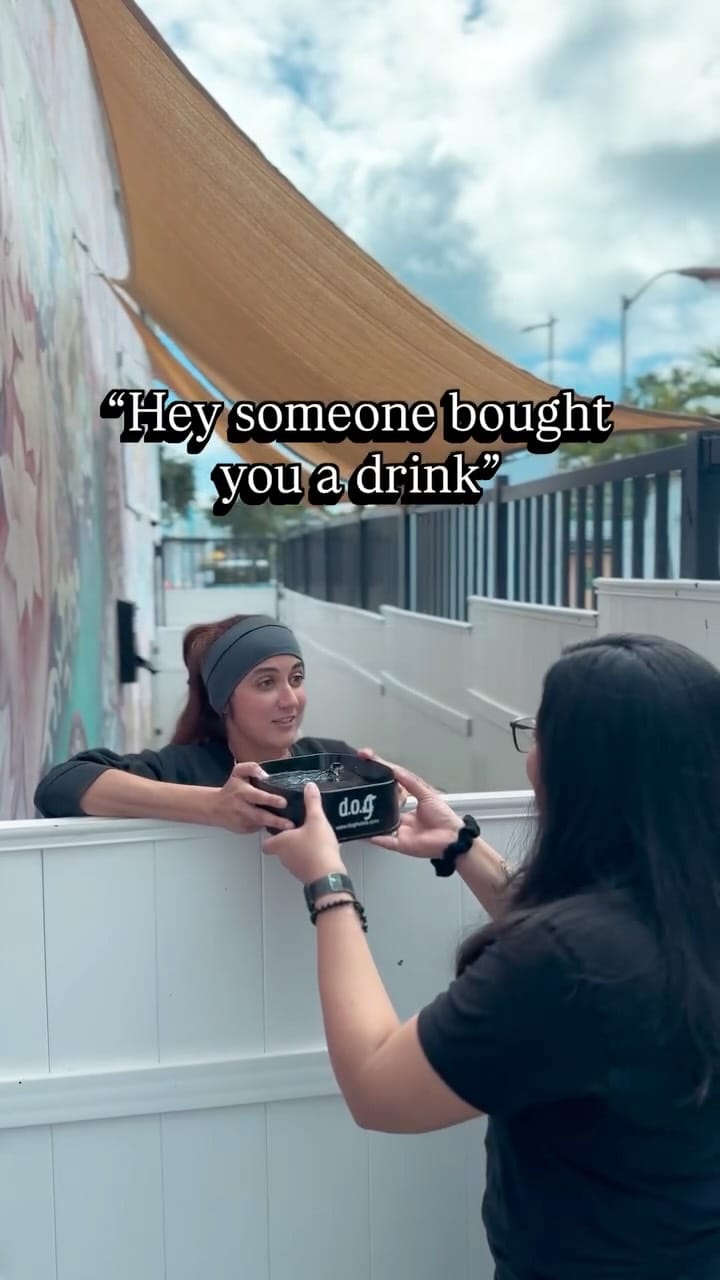 Post 7 by DOG Hotels Miami Beach on Instagram (video)