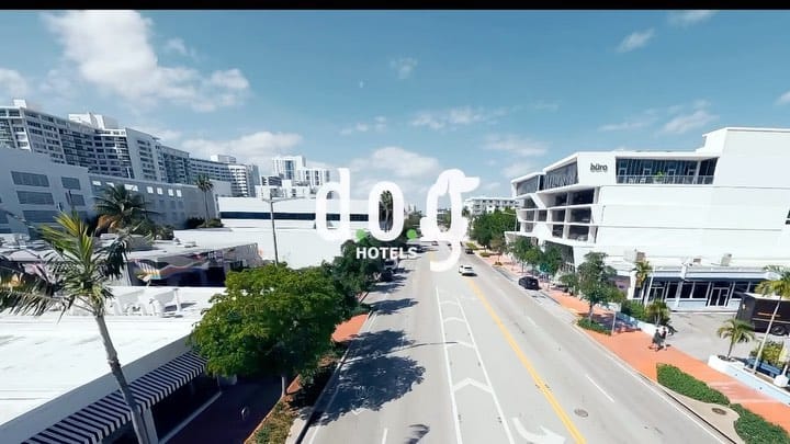 Post 10 by DOG Hotels Miami Beach on Instagram (video)
