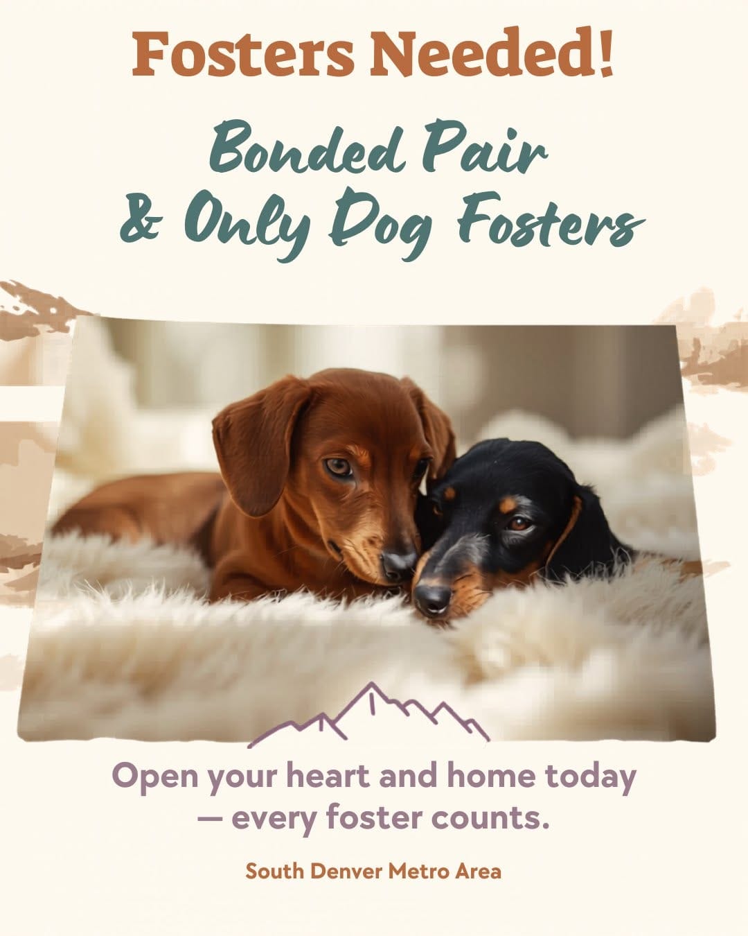 Post 6 by Mile High Dachshunds Rescue on Instagram (image)