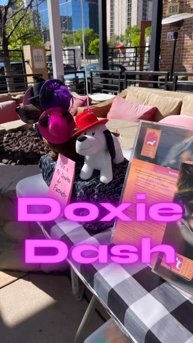 Post 7 by Mile High Dachshunds Rescue on Instagram (video)