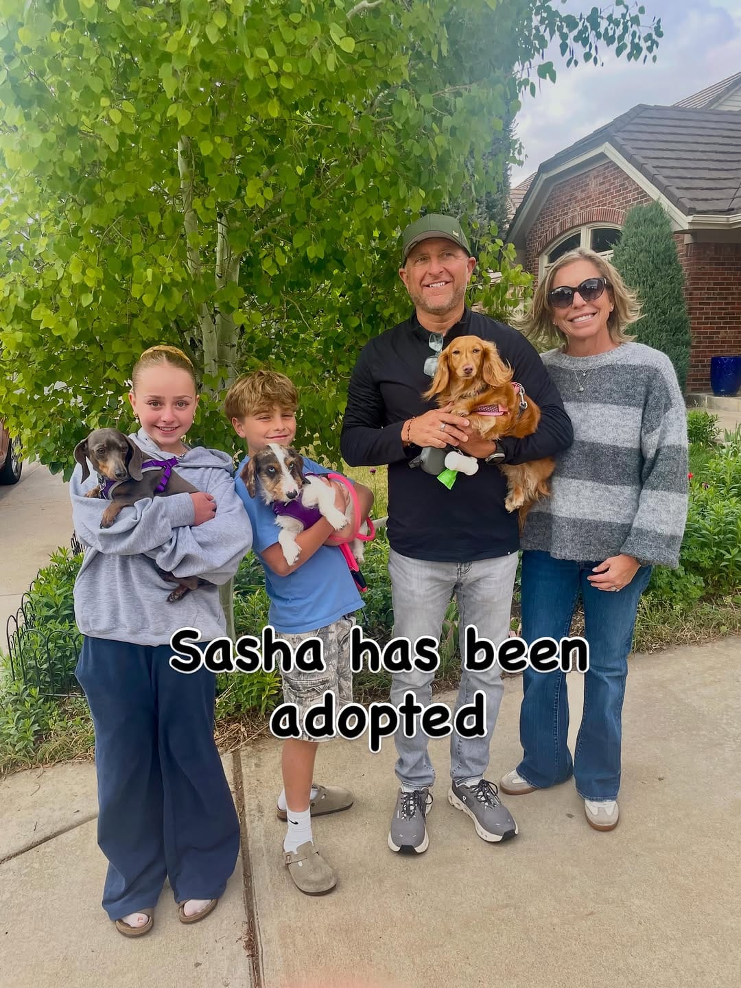 Post 2 by Mile High Dachshunds Rescue on Instagram (image)