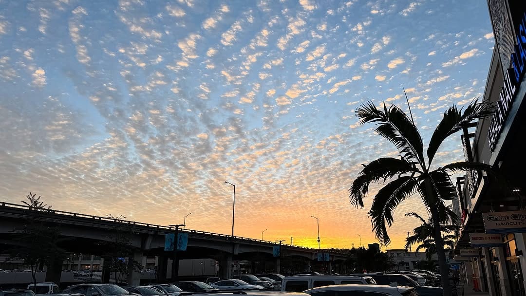 Post 6 by Hawaii Aloha on Instagram (image)