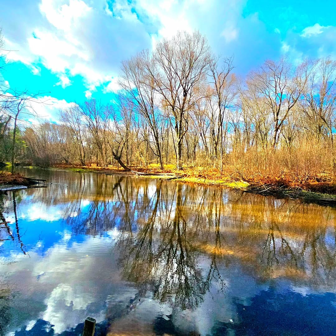 Post 8 by Kathy Woods Booth Photography on Instagram (image)