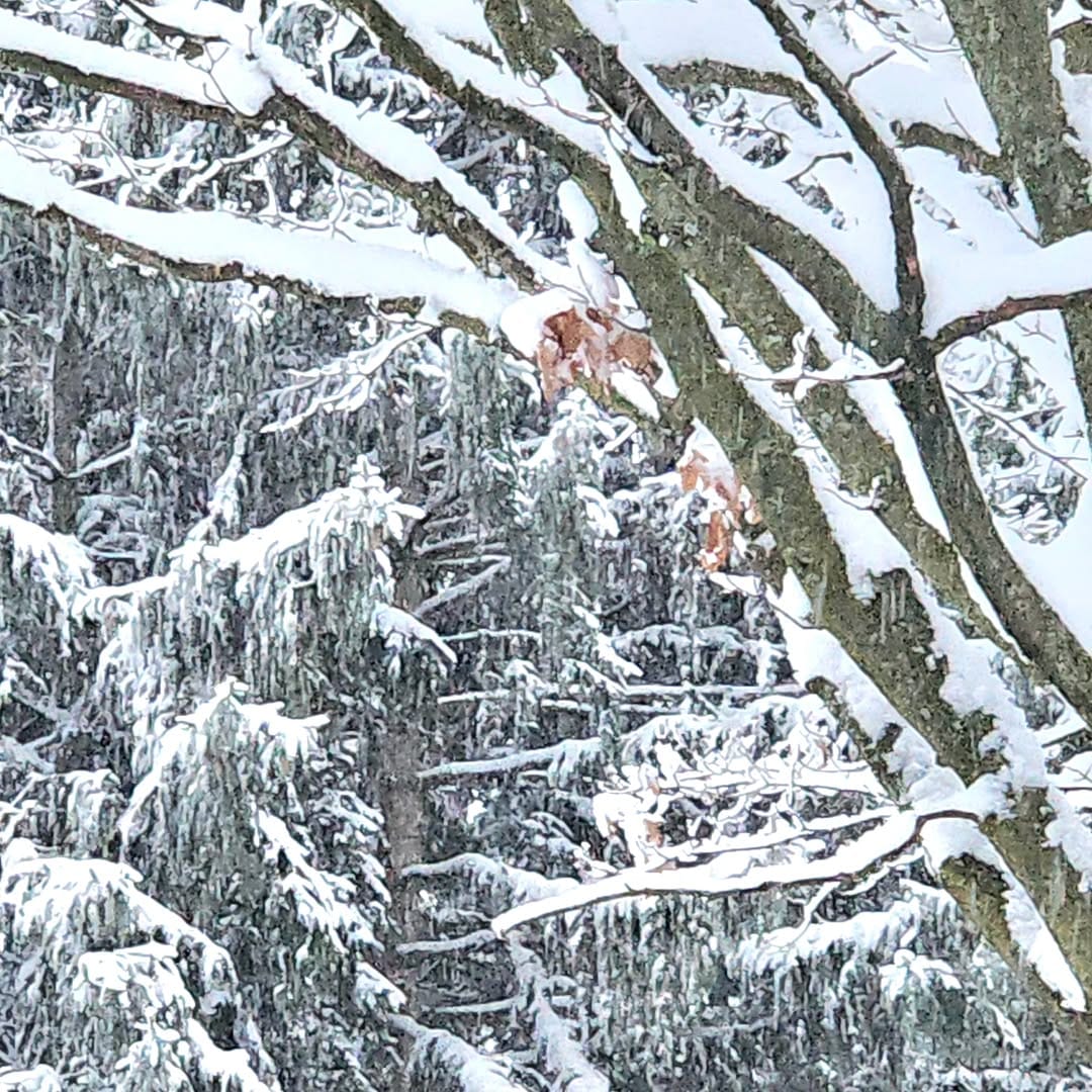 Post 2 by Kathy Woods Booth Photography on Instagram (image)