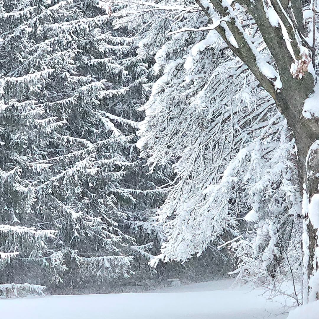 Post 3 by Kathy Woods Booth Photography on Instagram (image)
