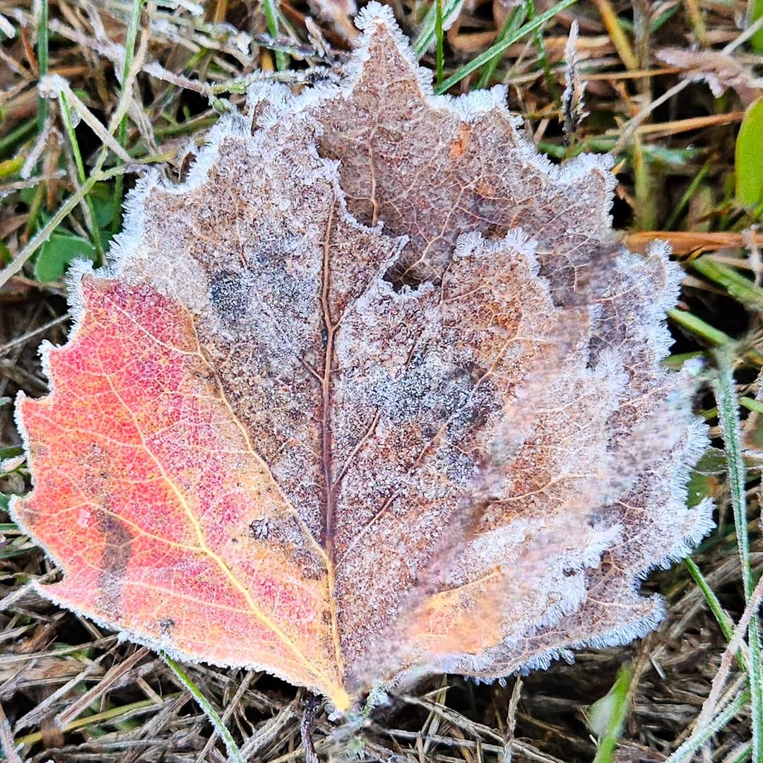 Post 10 by Kathy Woods Booth Photography on Instagram (image)