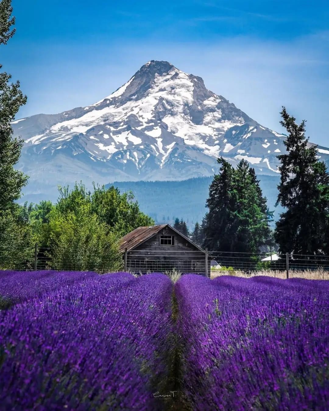 Post 2 by PNW Outdoors on Instagram (image)