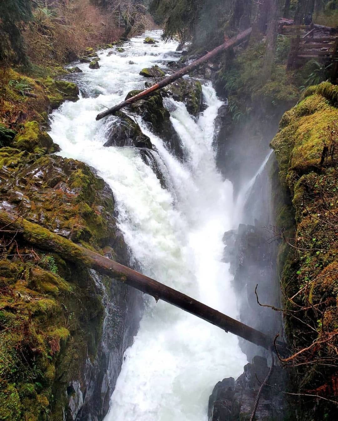 Post 7 by PNW Outdoors on Instagram (image)