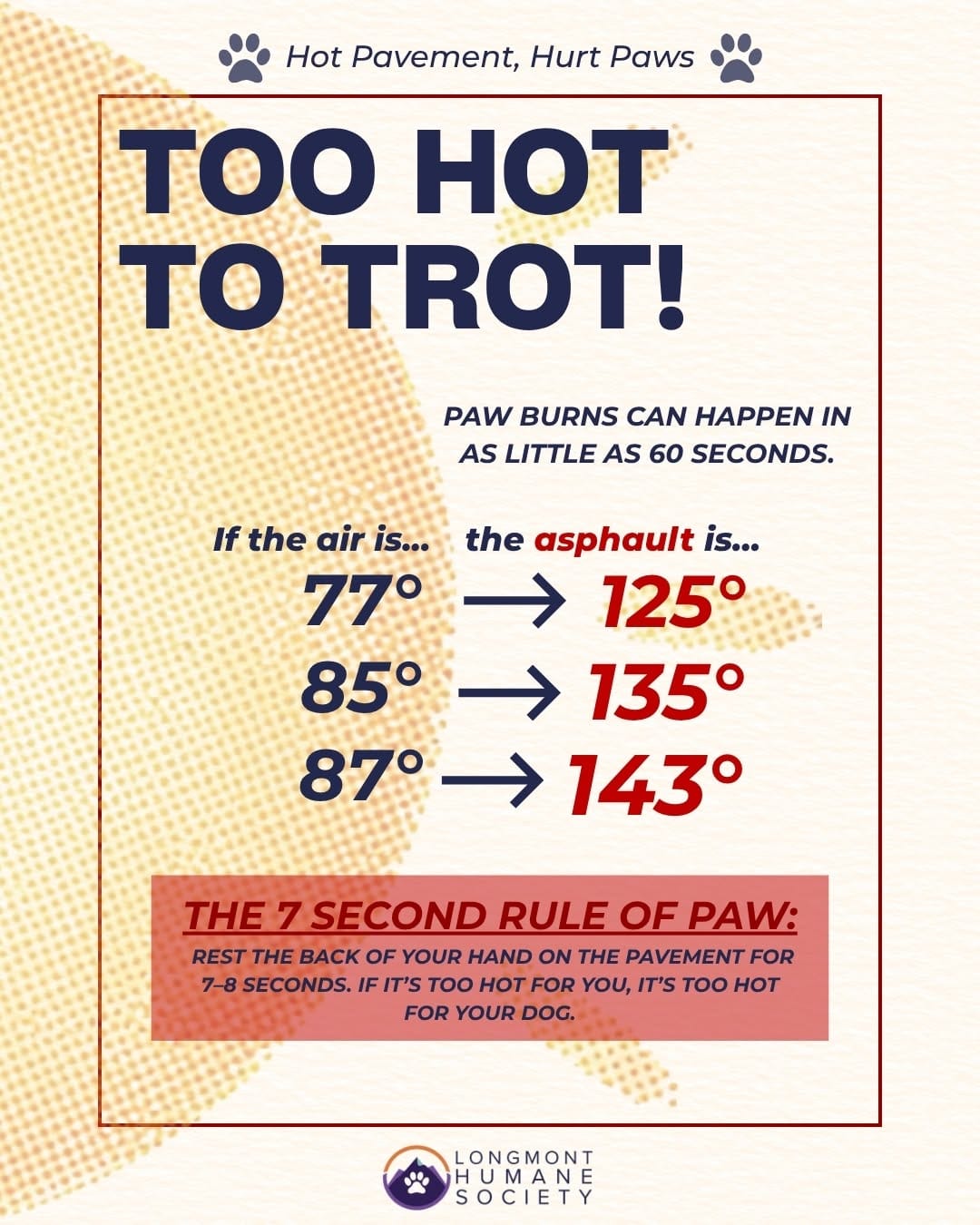Post 8 by Longmont Humane Society on Instagram (image)