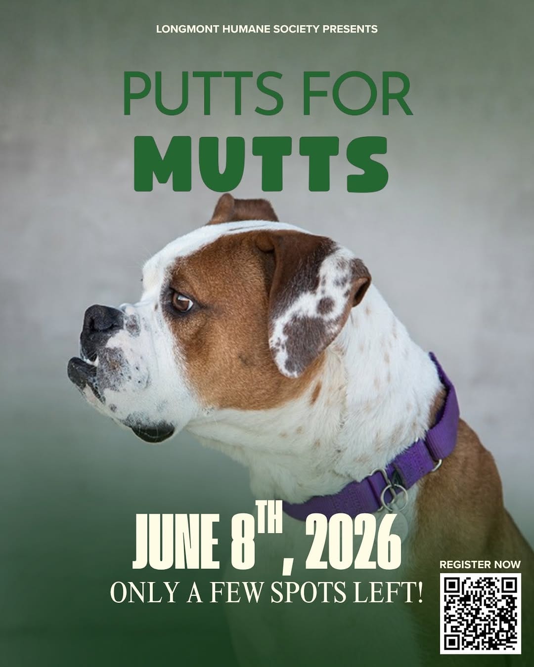 Post 10 by Longmont Humane Society on Instagram (image)