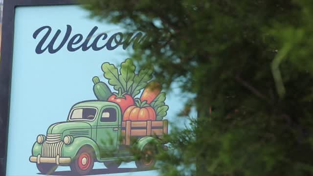 Post 1 by Hawaiian Filipino Treats & Drinks | Jax 🌴 on Instagram (video)