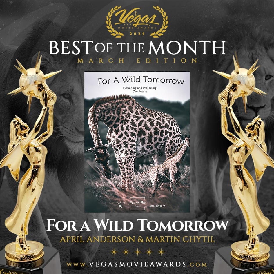 Post 5 by Vegas Movie Awards™ on Instagram (image)