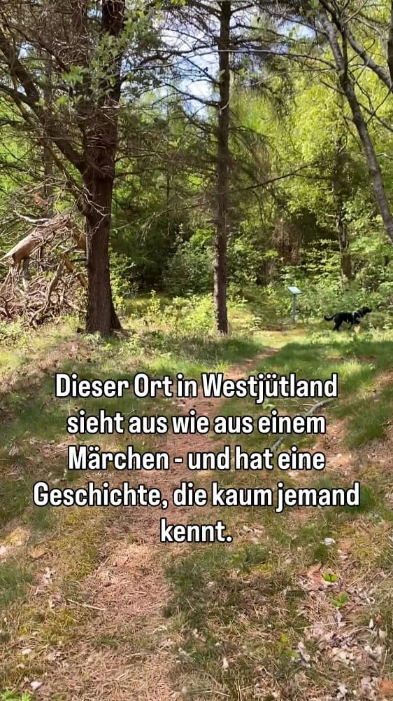 Post 6 by DanWest Ferienhausvermietung on Instagram (video)