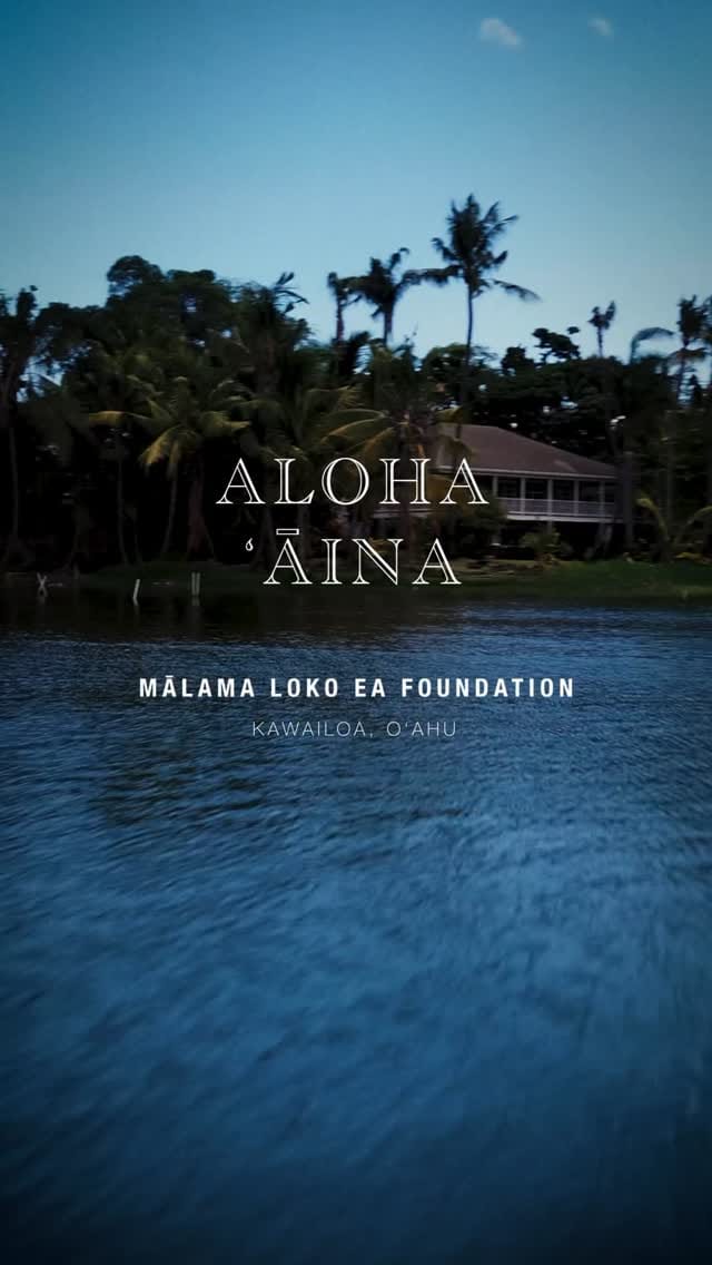 Post 6 by Mālama Loko Ea Foundation on Instagram (video)