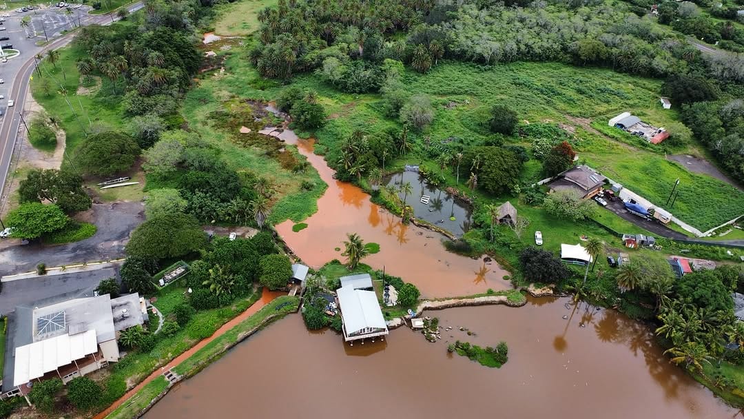 Post 4 by Mālama Loko Ea Foundation on Instagram (carousel)