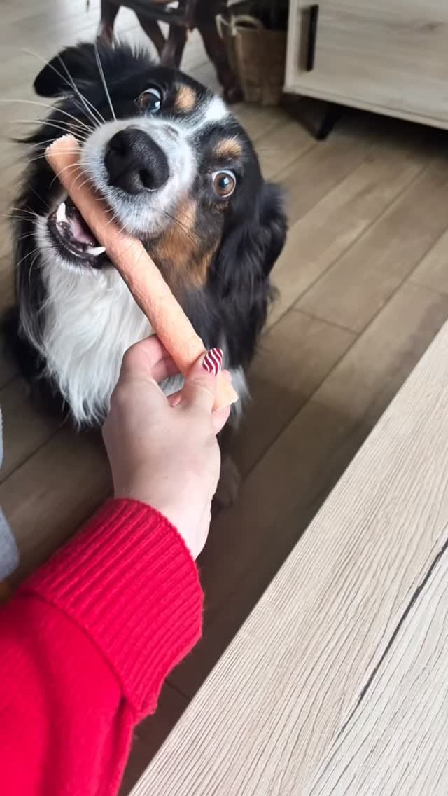 Post 2 by Whisky on Instagram (video)