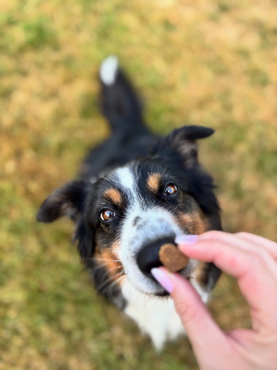 Post 6 by Whisky on Instagram (carousel)