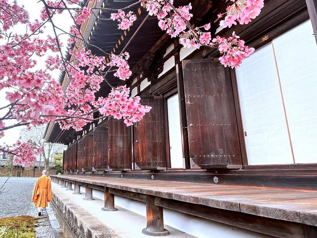 Post 6 by 三十三間堂_公式｜Sanjusangendo_temple on Instagram (image)