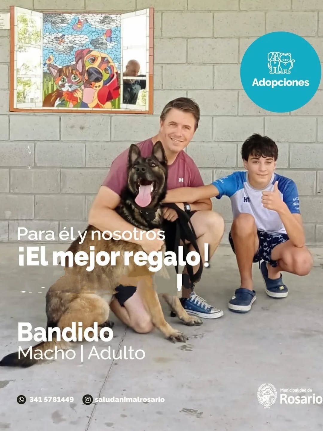 Post 6 by Ya Te Elegí Perros En Adopción on Instagram (carousel)