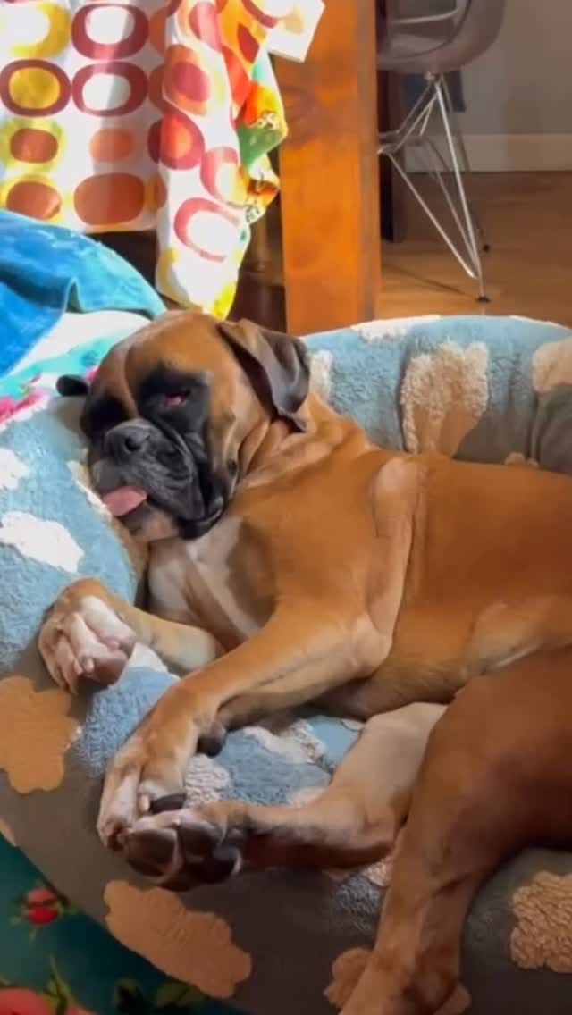 Post 5 by Masumi♦️Hara  (原 ますみ) on Instagram (video)