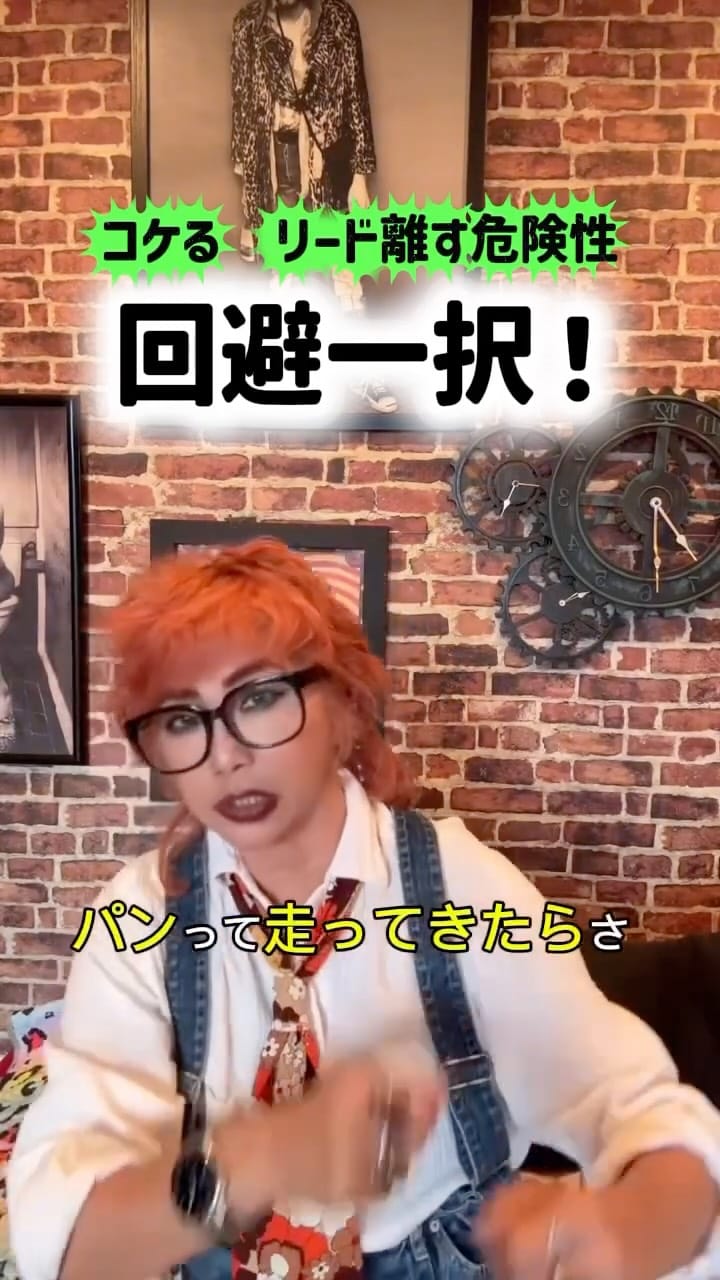 Post 2 by Masumi♦️Hara  (原 ますみ) on Instagram (video)