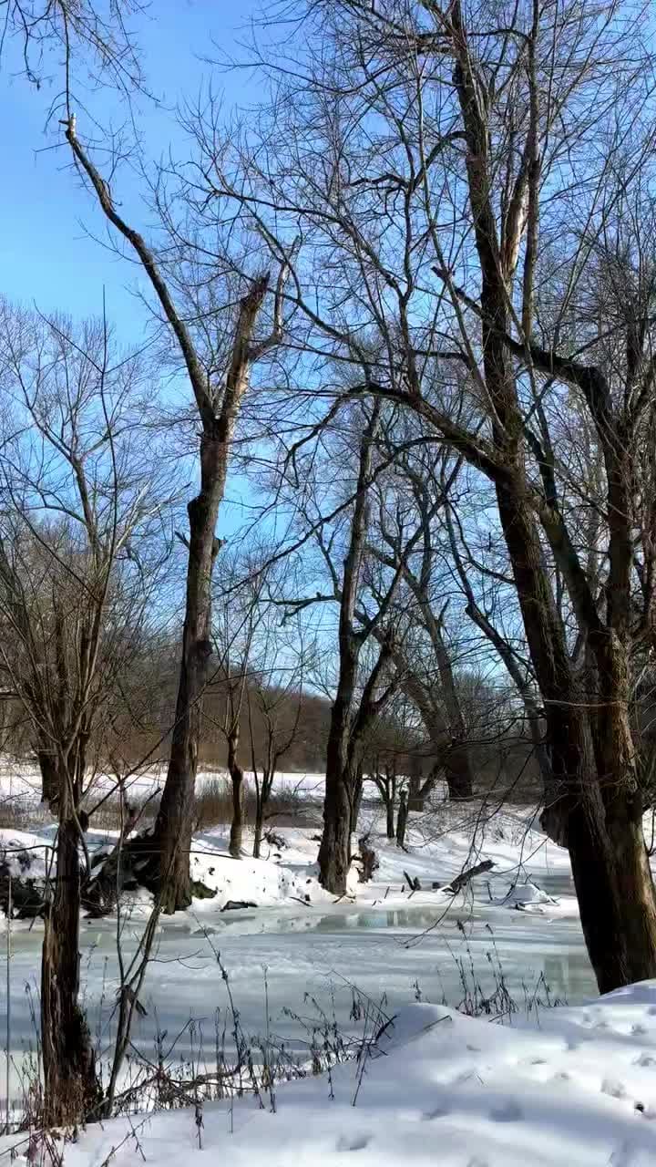 Post 1 by Red Wolf Sanctuary on Instagram (video)