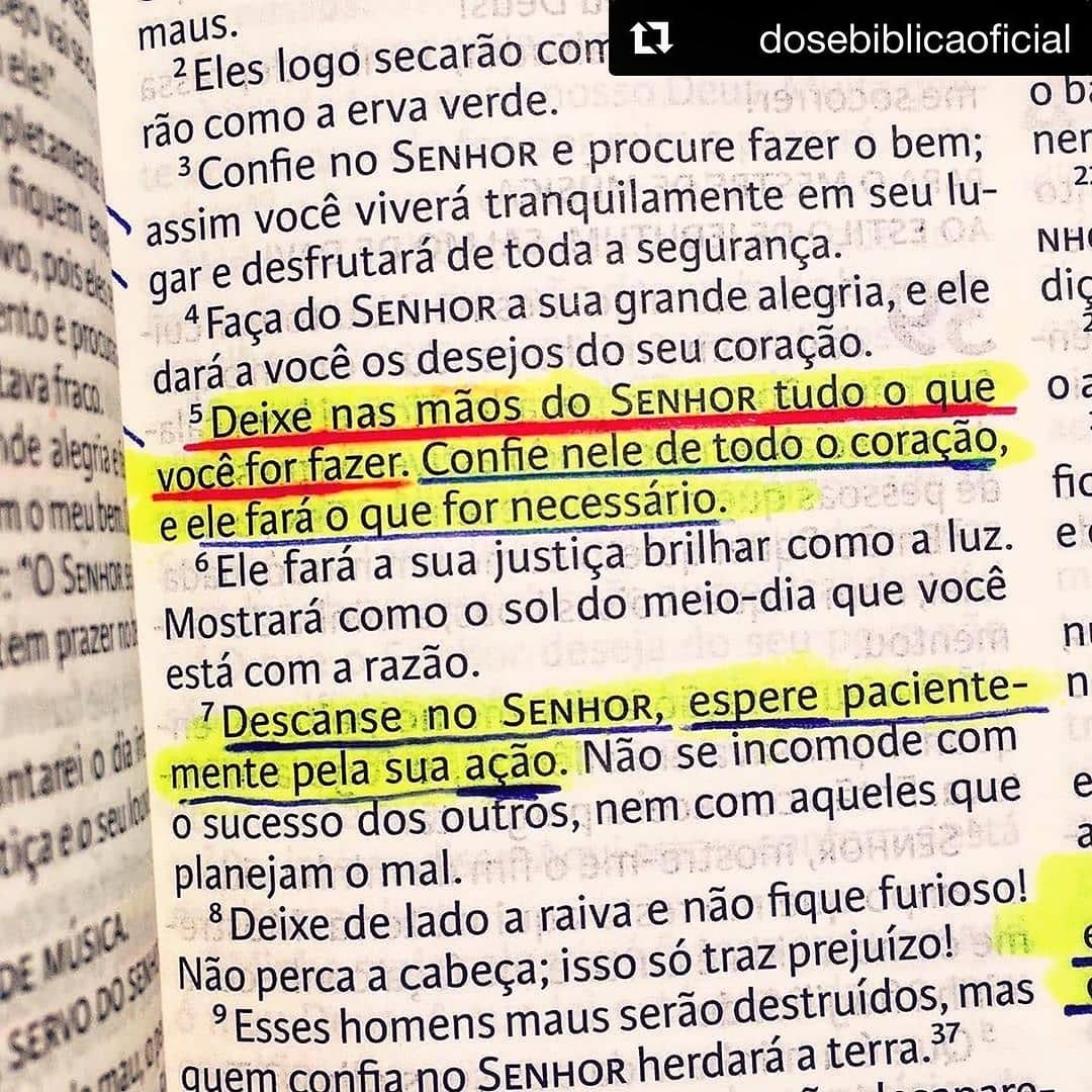 Post 5 by Fábio Trindade 🇧🇷 on Instagram (image)
