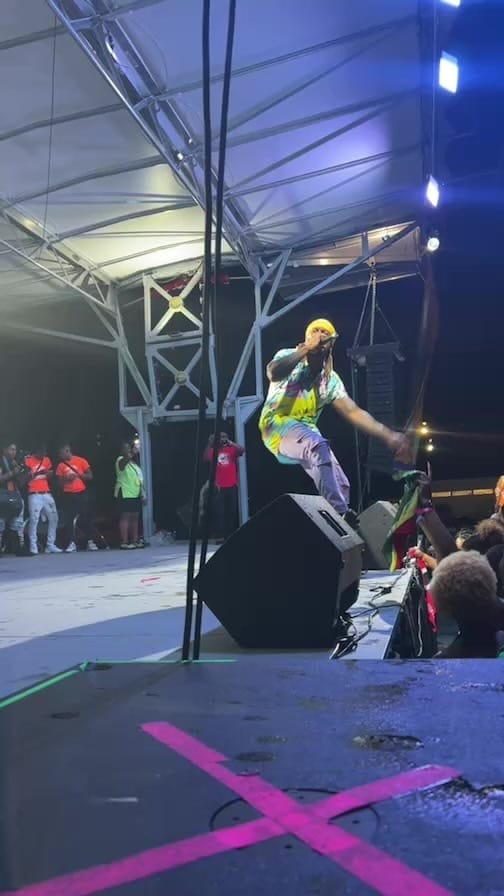Post 3 by AtlantaDekalbCarnival on Instagram (video)