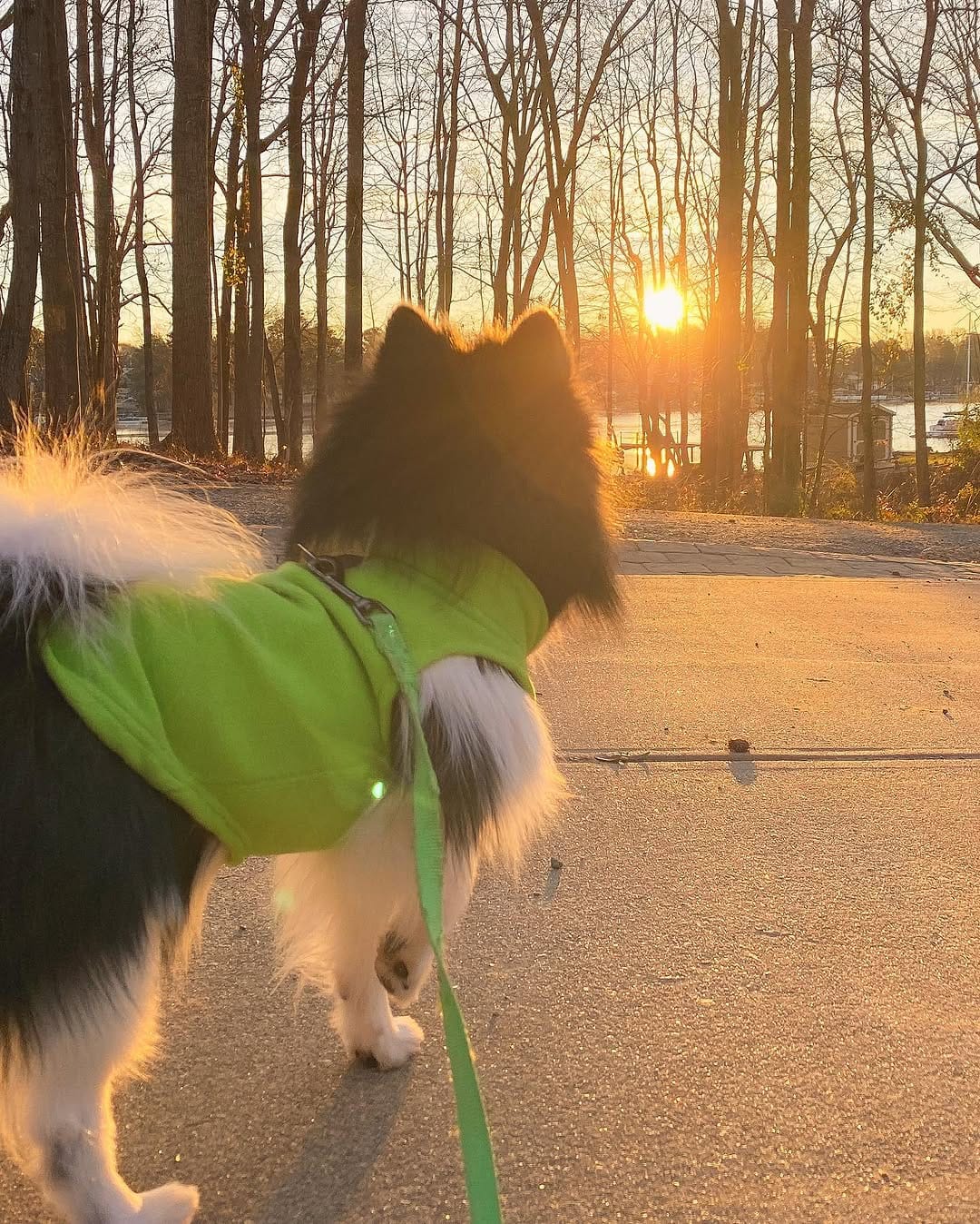 Post 1 by Oreo on Instagram (carousel)