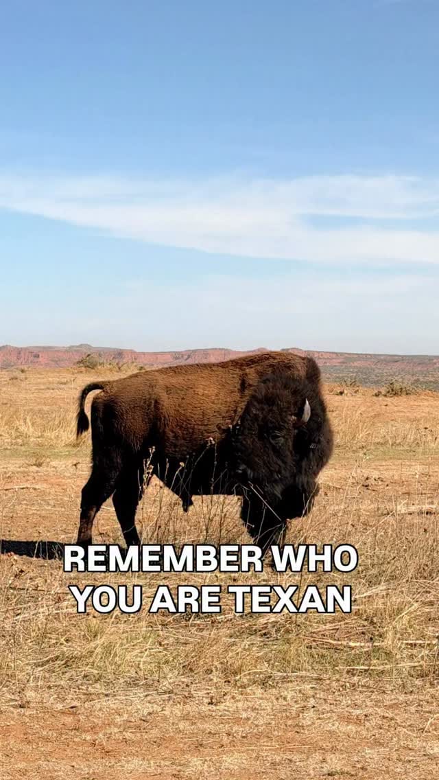 Post 7 by El Paso, Texas 🔹 on Instagram (video)