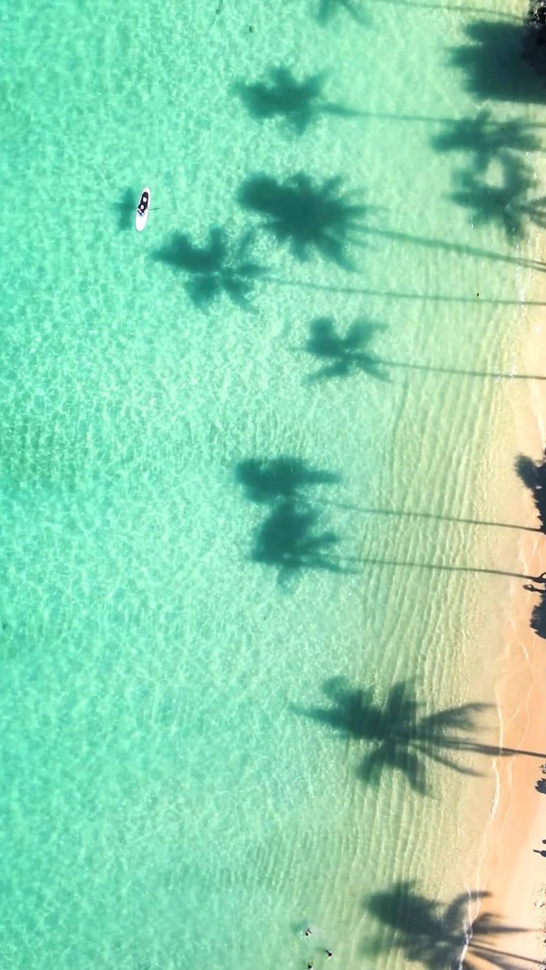 Post 4 by Pro₂tect The Planet 🌎🌊 on Instagram (video)