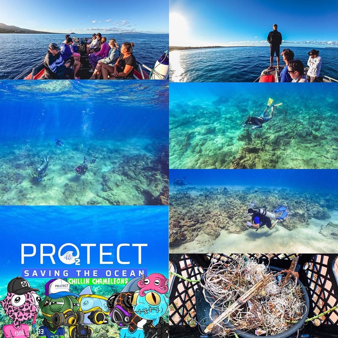 Post 7 by Pro₂tect The Planet 🌎🌊 on Instagram (image)