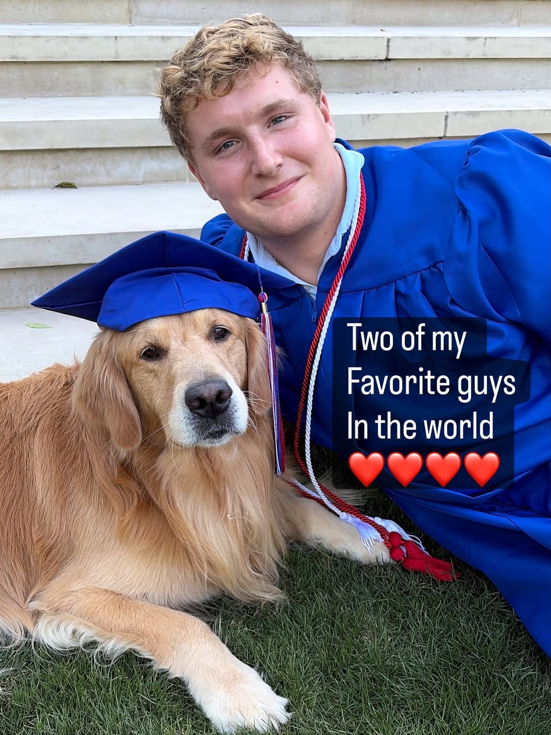 Post 3 by ElkCreekGoldenRetrievers on Instagram (image)