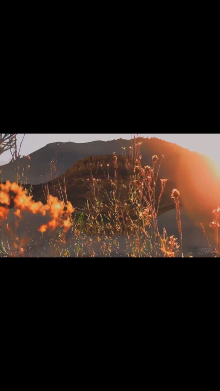 Post 7 by Solasta Festival on Instagram (video)