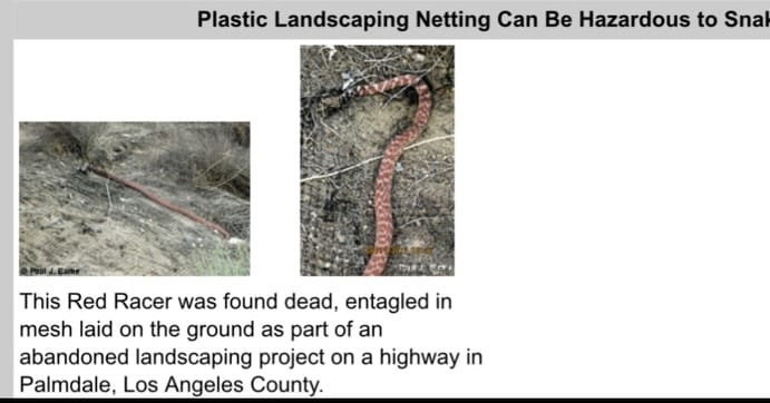 Post 7 by @california_native_plants on Instagram (carousel)