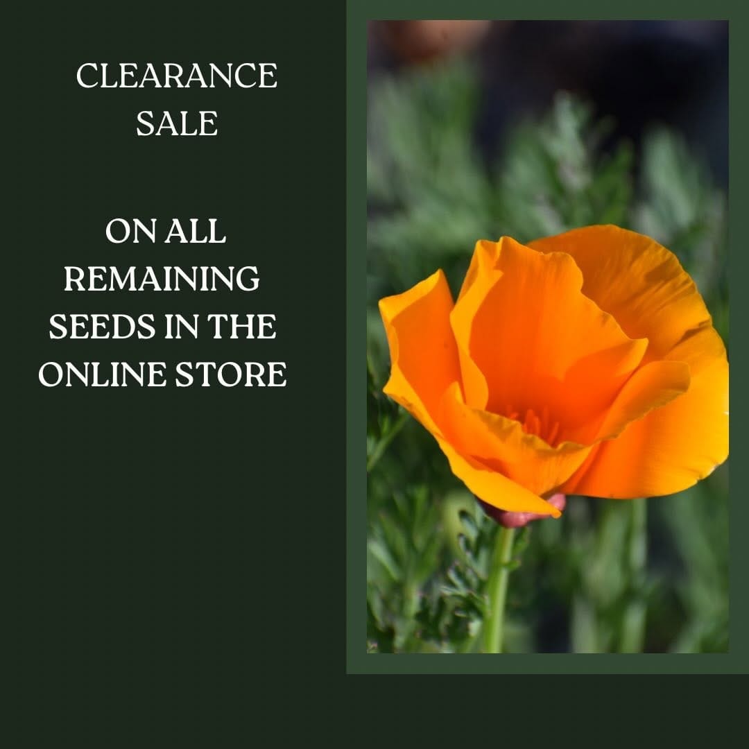 Post 1 by @california_native_plants on Instagram (image)