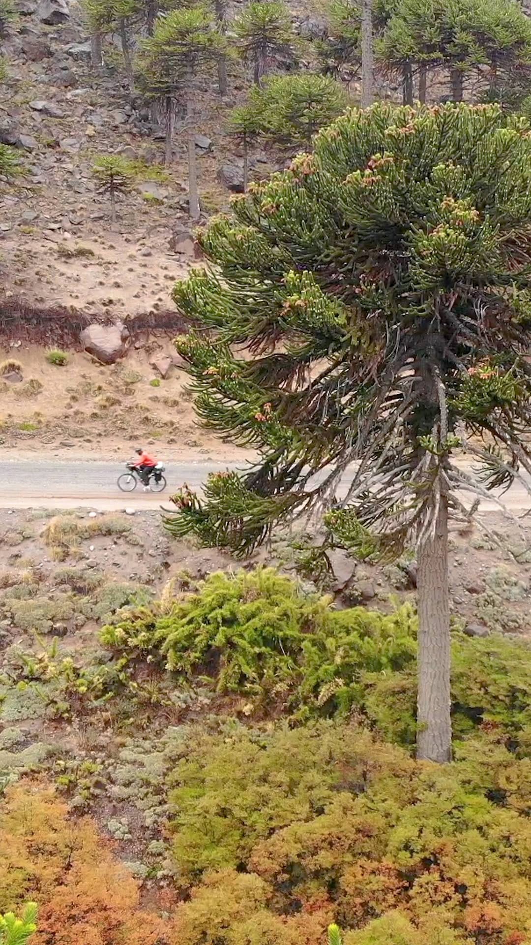Post 5 by Karl Kroll on Instagram (video)