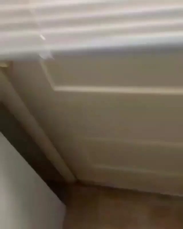 Post 4 by Husky 🇺🇲 on Instagram (video)