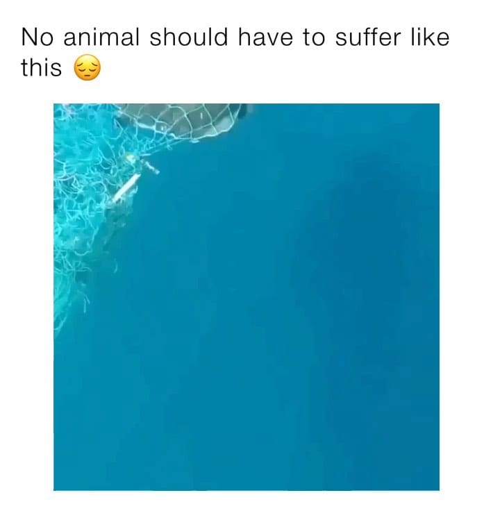 Post 4 by We Clean Beaches on Instagram (video)